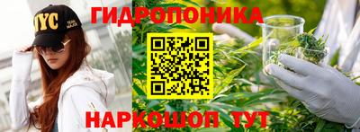 кокс Лесосибирск